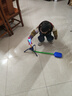 冲天火箭儿童玩具飞天小火箭脚踩火箭炮冲天炮户外室外玩具礼物 主体+带灯火箭 实拍图