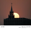 适马（SIGMA）150-600mm F5-6.3 DG DN OS ｜Sports 全画幅无反 超远摄变焦镜头  打鸟拍荷花（索尼卡口） 实拍图