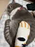 INSTINCT【防伪认证】天然百利猫粮进口生鲜鸡肉配方高蛋白冻干猫粮 拯救肥胖喵】控制体重鸡猫粮10磅 实拍图