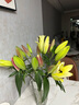 悦多彩AB级优质香水百合 家庭办公室各色生活鲜花 昆明基地 现采直发 百合组合20朵（黄色/粉色各10朵） 实拍图