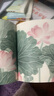 一颗莲子的生命旅程 原创植物科普绘本，以国画绘出莲的生命轮回 国风情怀 中国传统 自然之美 5-10岁浪花朵朵   实拍图