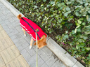 拉维佩特（LOVINGPET）狗狗衣服大型犬 保暖金毛狗衣服冬季柯基拉布拉多狗衣服中型犬 红色 2XL 建议20-25斤 实拍图