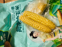 傣小瓜 拇指小玉米云南即食香糯手指玉米棒甜玉米杂粮轻食代餐早餐食品 拇指玉米500g*1袋【1斤】 实拍图