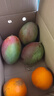 攀枝花凯特芒果10斤新鲜水果芒果当季水果整箱芒果青皮大芒果甜心 9斤精品果【单果400-500g起】 实拍图