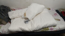 多喜爱A类35%大豆纤维拉链款子母被 二合一秋冬被约7.6斤1.2床152*218cm 实拍图