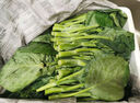 鹿凌青农家新鲜中花芥兰菜应季蔬菜广东芥兰芥蓝好吃下饭菜发顺丰 【顺丰】泡沫箱加冰袋（偏细） 【精选中小兰】4斤 实拍图