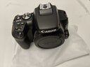 佳能200d二代 2代 入门级单反相机 vlog便携家用迷你单反数码照相机入门相机 黑色 200DII 18-55套机【入门小白款】 店长主推【免费升级套餐五 立省500 强烈建议】 实拍图