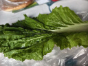 鹿凌青白菜叶饭包东北大白菜叶子新鲜蘸酱蔬菜大饭包打饭包菜叶发顺丰 20片白菜叶无酱【发顺丰】 实拍图