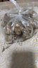 【香脆洋姜】新鲜洋姜鬼子姜可腌制鬼子姜姜不辣农家蔬菜菊芋泡菜 洋姜小果 1斤 净重 460g 实拍图