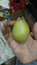 绿熊庄园正宗新疆库尔勒香梨酥脆甜多汁冰糖雪梨丑梨子果蔬生鲜水果礼盒装 特级5斤装 单果120g+净重4.5斤 实拍图