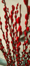 开时果 银柳鲜枝干花年宵花卉 红色真花福桶银柳水培植物室内装饰鲜花 【100cm】银柳40枝（喜庆红） 实拍图