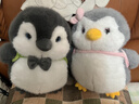 若兮可爱小企鹅公仔玩偶床上娃娃儿童毛绒玩具男女生生日礼物新年女孩 企鹅哥哥25cm【品质填充棉】 实拍图