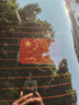 云车卫仕汽车强反光贴五星红旗车贴创意改装车身划痕遮挡贴纸电动车装饰贴 3D强反光国旗【15*10cm-1片装】 实拍图
