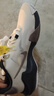 耐克（NIKE）男子篮球鞋AIR MAX IMPACT4运动鞋DM1124-102白紫45 实拍图