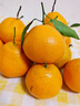 旭霁耙耙柑正宗四川春见耙耙柑丑橘新鲜水果孕妇甜桔橘子年货节 5斤爆甜果 单果80- 90mm 净重4.5斤 实拍图