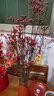 开时果 澳洲腊梅水培鲜枝真花带花发货 过年花干枝冬季鲜切年宵花卉盆栽 A级红色60-80cm8枝+新年挂件2个+保鲜剂 实拍图