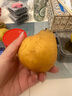烟台中华丑梨 太婆蜜梨软梨子核小甜糯多汁当季新鲜水果整箱 丑梨带箱1斤（净重0.8斤） 实拍图