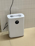 志高（CHIGO）除湿机家用抽湿机除湿器室内卧室客厅抽湿器房间干燥除湿机干衣干燥机防潮回南天除湿神器 1L/天 负离子净化 实拍图