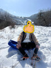DUTRIEUX 滑雪板加厚双人亲子儿童雪球夹滑草板雪爬犁雪橇车滑沙滑雪装备 滑雪板【双人高背熊猫款】 实拍图