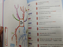 小学英语思维导图3-6年级（全2册）包含50幅导图50个单元话题近1000个常用单词 课后练习音标让记单词成为更轻松的事 小学英语语法词汇知识大全京东自营图书名师点评 实拍图