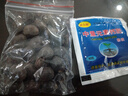 大丽花种子重瓣大花种籽耐热四季易种庭院阳台盆栽花草种子籽 碗莲30粒+肥 实拍图