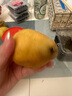 烟台中华丑梨 太婆蜜梨软梨子核小甜糯多汁当季新鲜水果整箱 丑梨带箱1斤（净重0.8斤） 实拍图