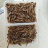 云映渔舟 微山湖淡水小河虾（活冻）生态新鲜青虾草虾醉虾鲜活清水小明虾 中号（4-6cm） 500g(净重) 实拍图