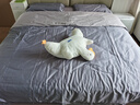 水星家纺被子 A类抗菌防螨十孔纤维被 四季被空调被春秋被冬被芯家用床品 冬被【A类抗菌|十孔超柔】 200x230cm(适配1.5米床套件) 实拍图