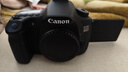 佳能/Canon 60D 70D 77D 80D 90D 半画幅 中高端单反 二手单反相机 数码相机 60D 单机 95成新 实拍图