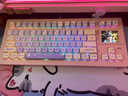 极星系SP STAR 极星D82 PRO+ 大屏幕支持GIF图热拔插三模机械键盘Gasket结构客制化键盘 D82 Pro 2 粉白 白轴 V2 实拍图