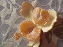 泰汇吃四川爱媛38号果冻橙 新鲜当季水果柑橘桔子时令 9斤（65-70MM）超值中果净8.5 实拍图