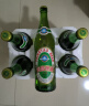 青岛啤酒（TsingTao）经典老青岛百年工艺大容量640ml*6瓶 整箱装 年货节送礼 实拍图