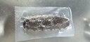 鲜拔头筹 即食海参 大连刺参单个装 深海辽刺参海参礼盒春节送礼鲜食海参 9年7A海参500g【16-20头】 实拍图