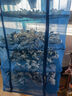 拜杰（BAIJIE）晒渔网折叠晒鱼网晒干笼家用神器晒菜网架防虫防蝇笼晾干钓鱼装备 95*50*50井字骨架五层+登山扣 实拍图