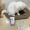英国USPET 猫用高活性益生菌 调理宠物猫咪益生菌幼猫调节肠胃拉肚子拉稀软便拉稀专用活性益生菌 实拍图
