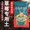德沃多肥料草莓专用营养土15L园艺绿植瓜果蔬菜有机土壤阳台盆栽农家种植土 实拍图