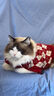 智宙宠物猫咪衣服保暖冬天小狗狗毛衣秋冬保暖加厚比熊泰迪小猫咪衣服 菱形刺绣樱桃毛衣-套头款 L：胸围44cm【建议10-13斤】 实拍图