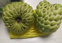 采缇（CAITI）现货大目凤梨释迦果5斤 新鲜番荔枝佛头果水果孕妇整箱 精选三斤中果（6-8个） 实拍图