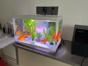 喜高超白玻璃鱼缸智能鱼缸免换水小型客厅水族箱一体式过滤氧气鱼缸 白-鱼缸+加热棒 380*210*245mm 实拍图