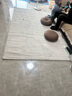 卡提菲亚防滑防猫抓极简地毯客厅侘寂风卧室Pran-21726 1.6*2.3米 实拍图