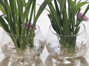 以琛水培植物玻璃瓶 绿萝花瓶花盆玻璃圆球水养鱼缸器皿容器送定制栏 10圆球 实拍图