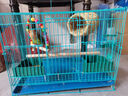 栗好嘉鸟笼鹦鹉笼子大全虎皮玄凤八哥画眉专用笼用品配件家用鸽子笼 中号40*27*30【套餐五】颜色备注 实拍图