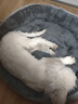 贝初众狗窝四季通用狗垫狗睡垫宠物猫窝中小型犬泰迪比熊狗窝保暖夏天 M-60*48cm【推荐20斤内宠物】 加高加厚款-靠背沙发窝-浅灰色 2024全新升级款-羊羔绒亲肤保暖 实拍图
