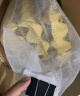 【速发】白蛐蛐蟋蟀活体饲料蜥蜴守宫蜘蛛龙鱼鸟食物针头蟋蟀油葫芦 1-2厘米 白蟋蟀100只 实拍图