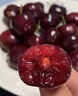 鲜惠源大连美早大樱桃车厘子 精选大果车厘子 大樱桃生鲜送礼水果 精选XL级2斤（净重1.8斤） 实拍图