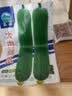 昂启蔬菜种子四季播盆栽阳台庭院香菜生菜菠菜小葱简单秋易种籽孑大全 肉多多丝瓜 约50粒 实拍图