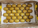 佳沛奇异果新西兰进口阳光金果【JD顺丰-送货上门】黄心猕猴桃 特大果【礼盒】18颗果单果约122-135g 实拍图