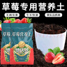 德沃多肥料草莓专用营养土15L园艺绿植瓜果蔬菜有机土壤阳台盆栽农家种植土 实拍图