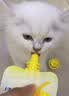 海洋之星 宠物酸奶猫狗零食牛奶冻干奶酪棒益生菌0乳糖宠物伴侣 奶酪冻60g 实拍图