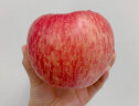 三颂 正宗烟台红富士苹果3斤装 甜脆红苹果丑苹果 晒单实拍图